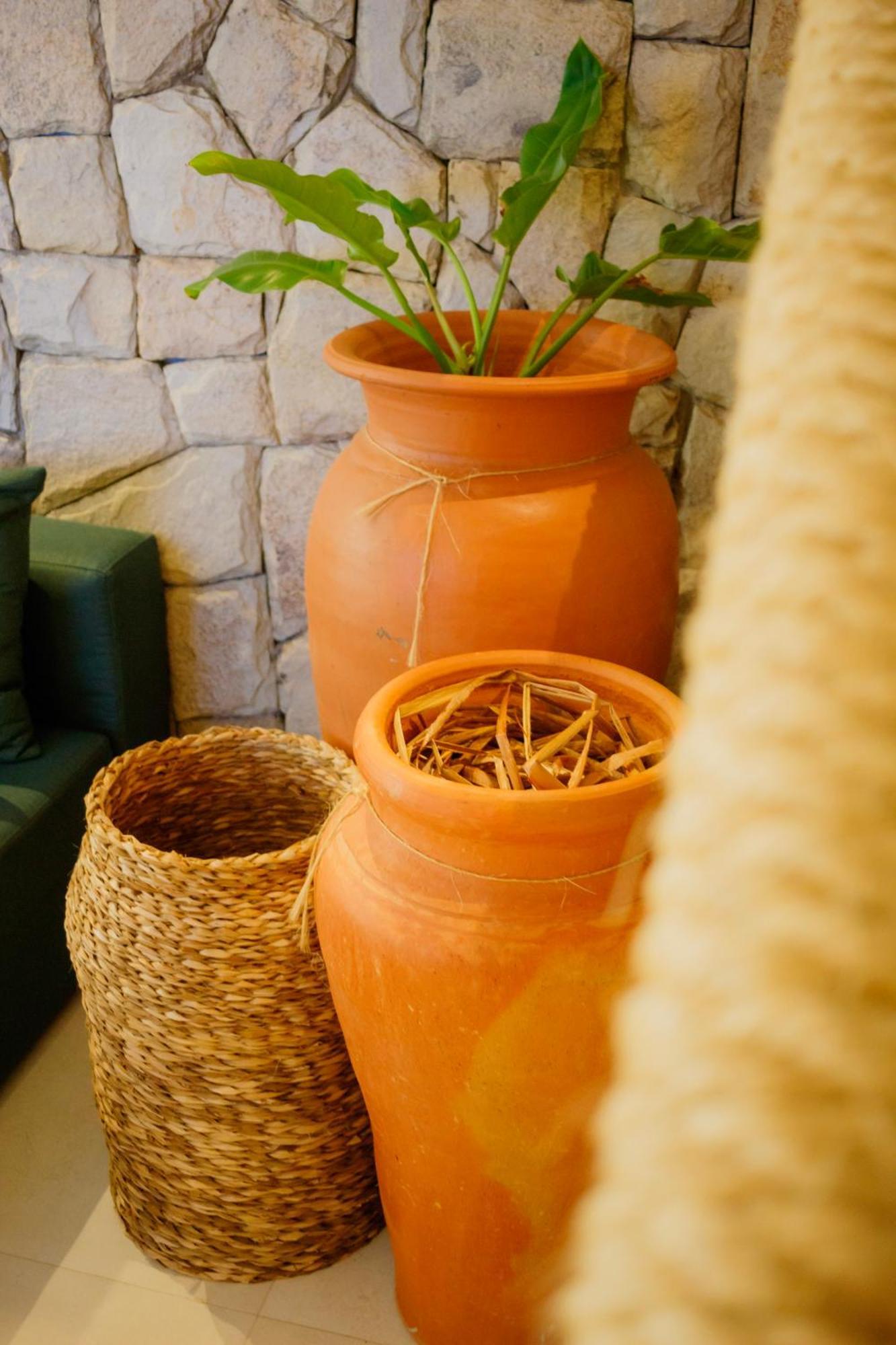 Kasa Milagres - Rota Ecologica Dos Milagres Villa Sao Miguel dos Milagres Bagian luar foto